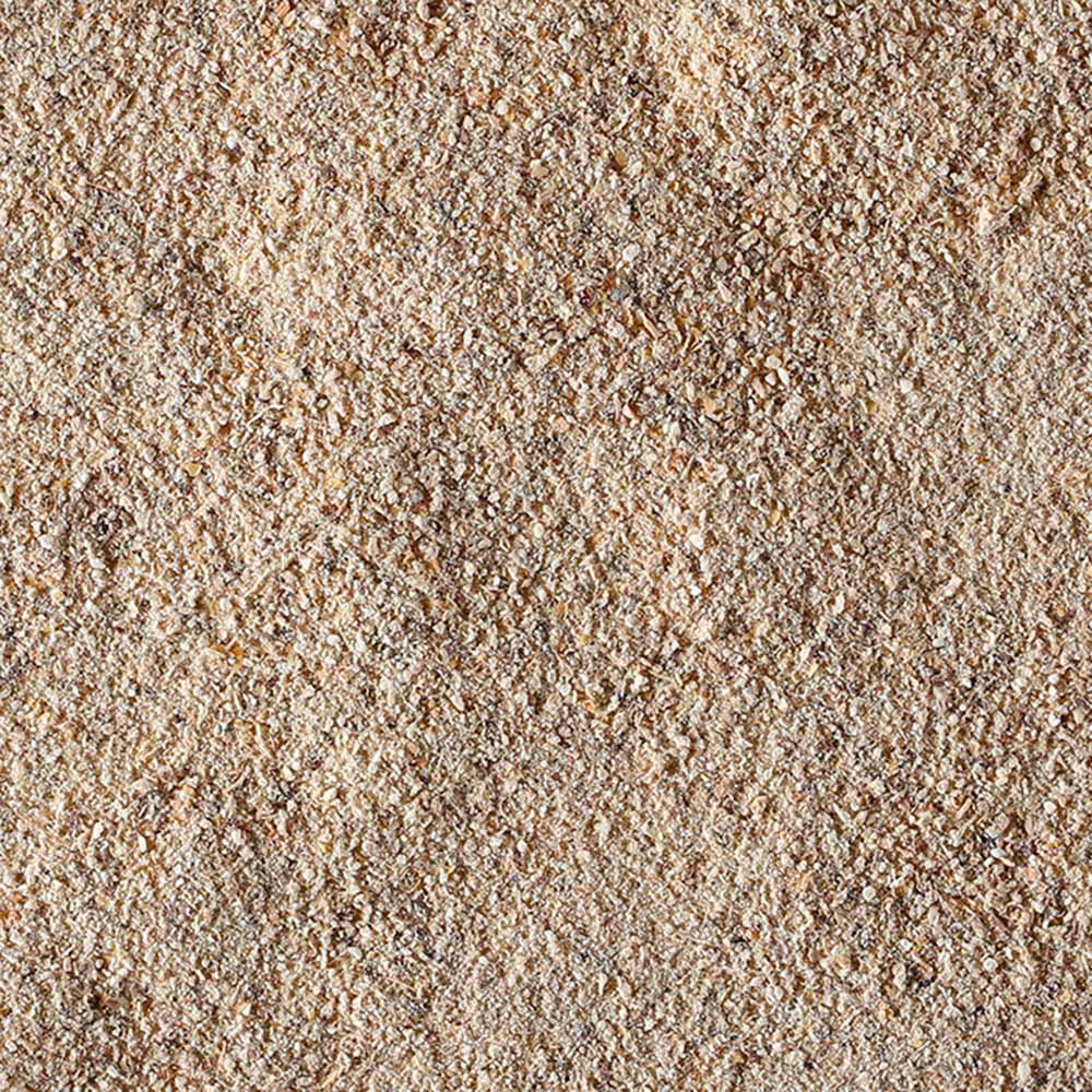 100% Fungo Lion's Mane in polvere BIO - 100g