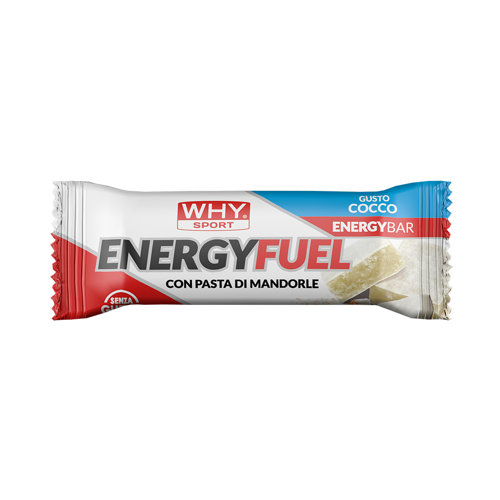WHY Sport Energy Fuel 30 g - Cocco