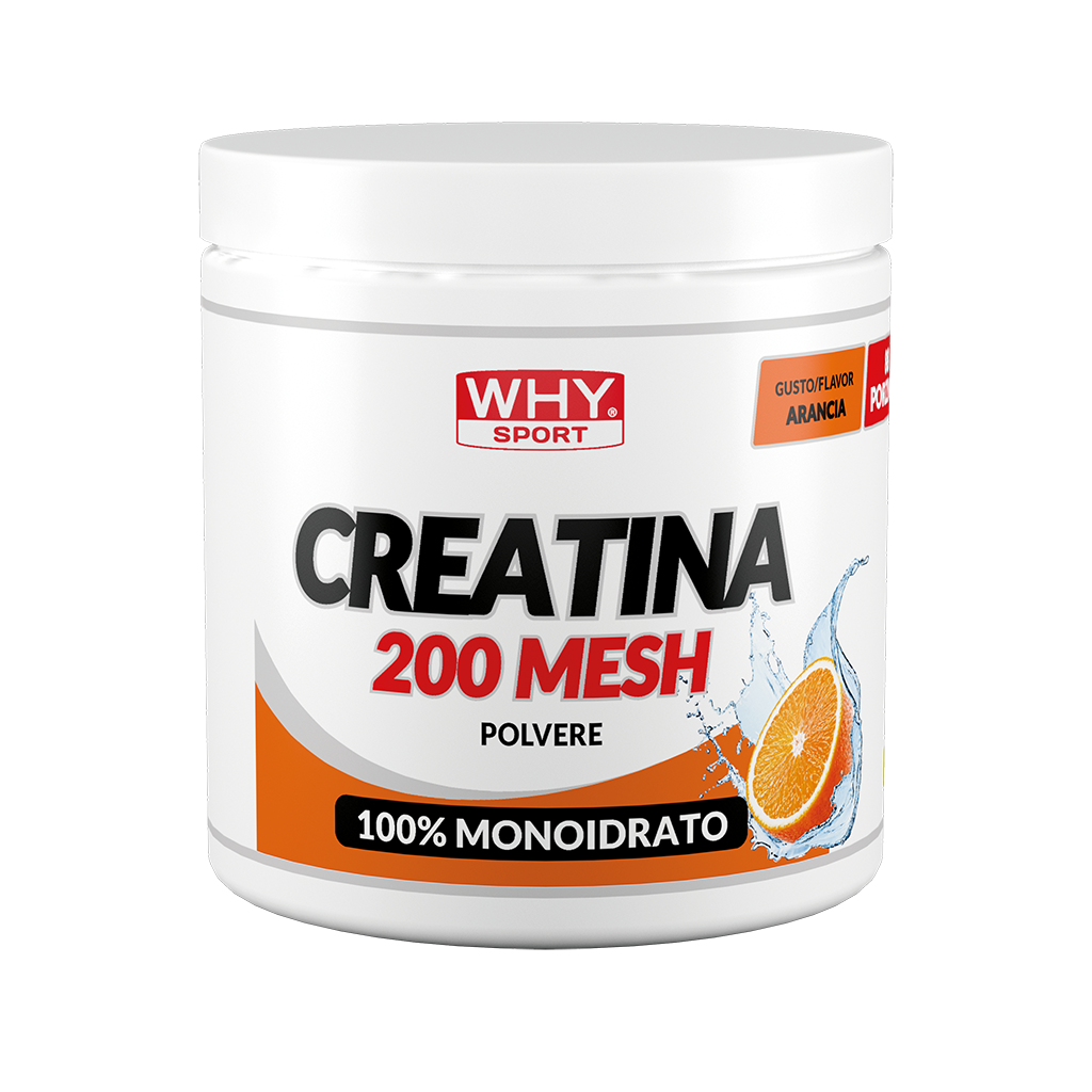 WHY Sport Creatina 200 Mesh Aromatizzata 300 g - Arancia