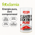Cluster Dextrin Pure (500g) - CICLODESTRINE
