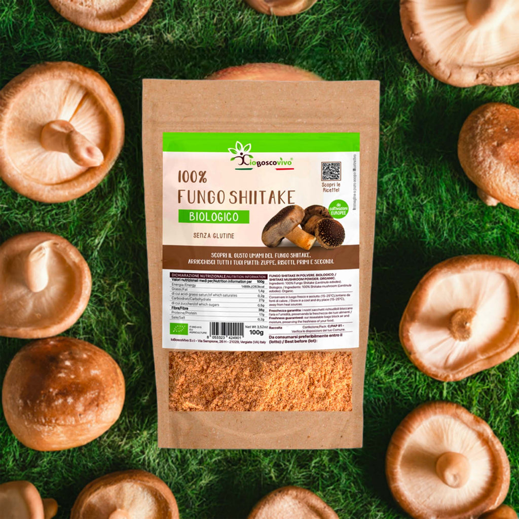 Polvere di Fungo Shiitake Bio 100g