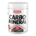 WHY Sport Carbo Mineral Arancia 400 g - confezione