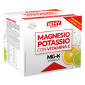 WHY Sport Magnesio Potassio Agrumi 30 bustine - 30 bustine