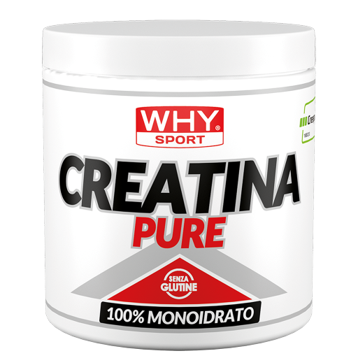 WHY Sport Creatina Pure 300 g - confezione