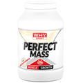 WHY Sport Perfect Mass 1,6 kg - Cioccolato bianco