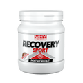 WHY Sport Recovery Sport Cioccolato 400 g - confezione