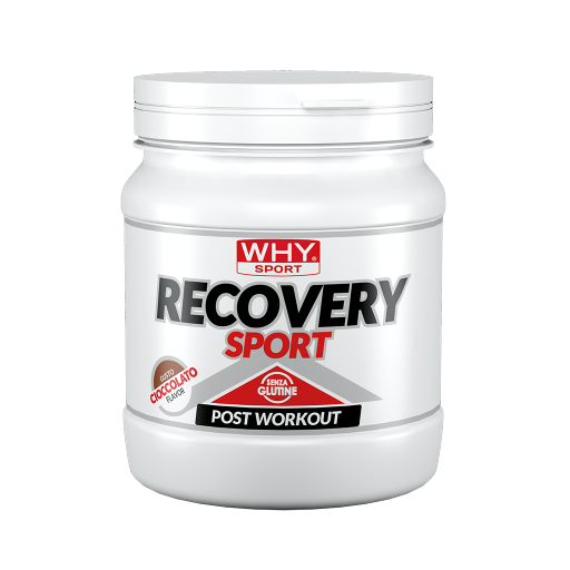 WHY Sport Recovery Sport Cioccolato 400 g - confezione